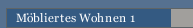 Möbliertes Wohnen 1